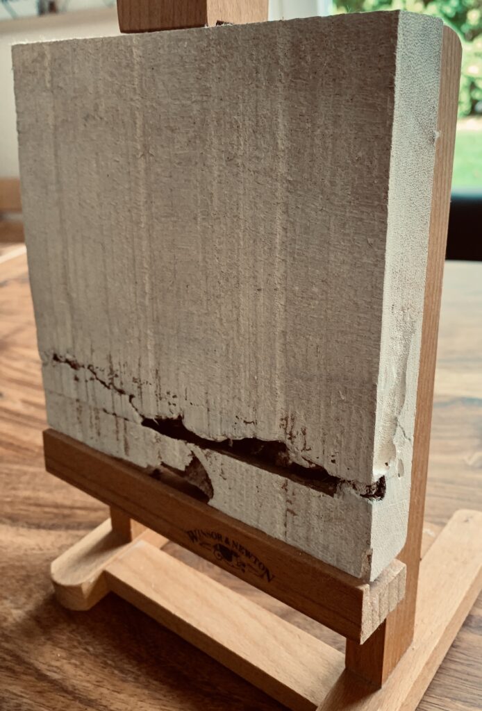 Wenig Farbe - von Natur aus schön - 2023 - Matthias Koch